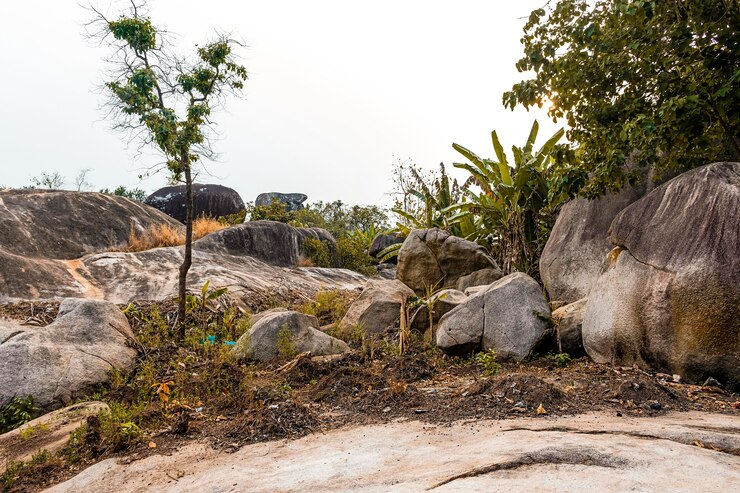 https://www.safariventures.com/wp-content/uploads/1-18.png