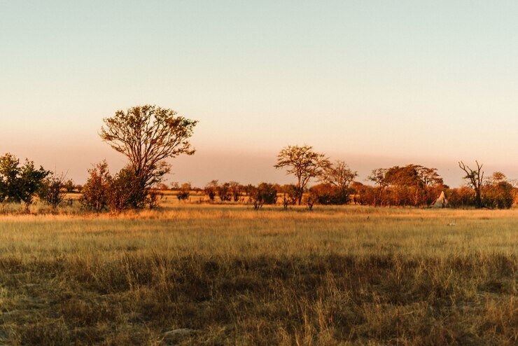 https://www.safariventures.com/wp-content/uploads/10-3.png