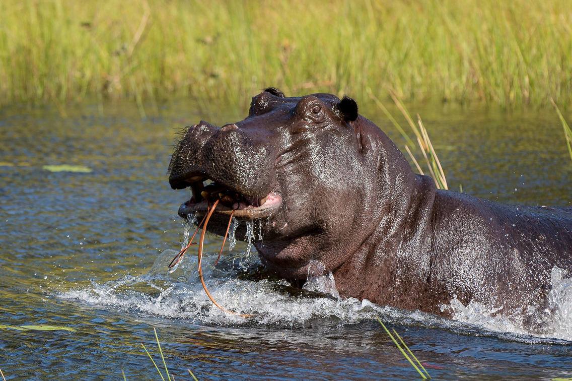 129729346_3905575682794317_3452319639817417474_n https://www.safariventures.com/wp-content/uploads/129729346_3905575682794317_3452319639817417474_n.jpg
