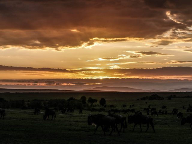 Tanzania Luxury Safaris: What “Luxury” Really Means (Lodges, Locations, and Seasons)