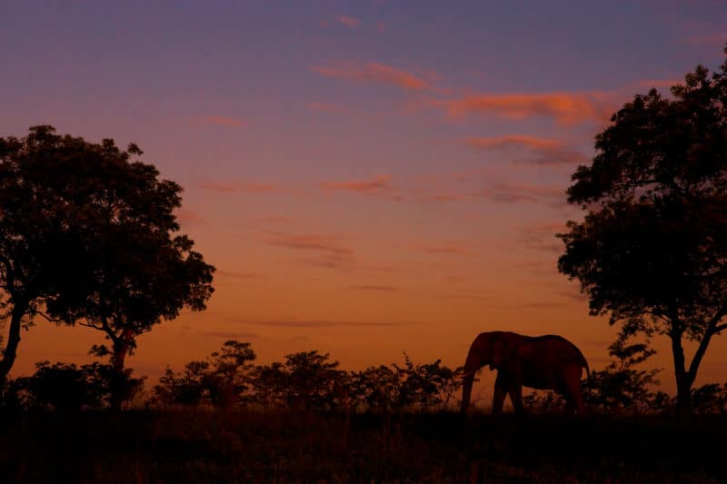 Best of Kenya & Tanzania Safari Tour