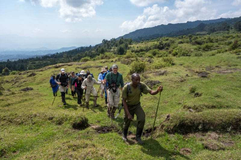 Chimp and Gorilla Trekking in Uganda Tour