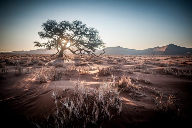 3 Day Desert Adventure in Namibia