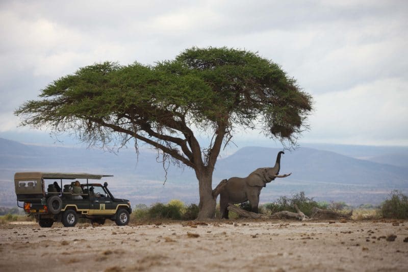 Kenya Luxury Sky Safari Tour