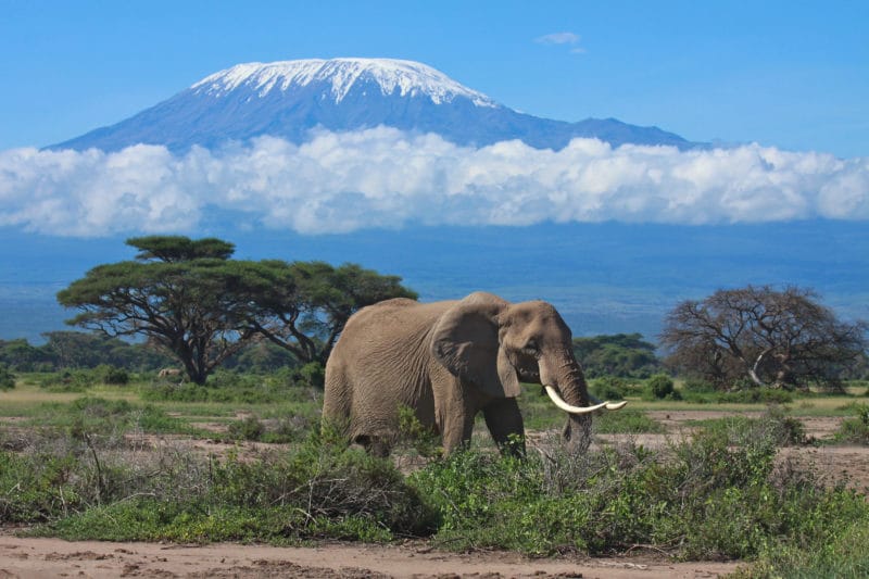Mt. Kilimanjaro Climb Rongai Route