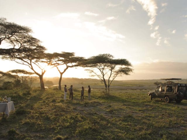 Tanzania Safari: Serengeti, Ngorongoro and the Quiet South