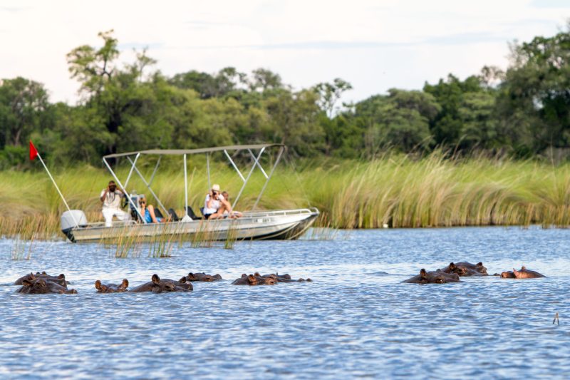 Botswana Exploration Tour