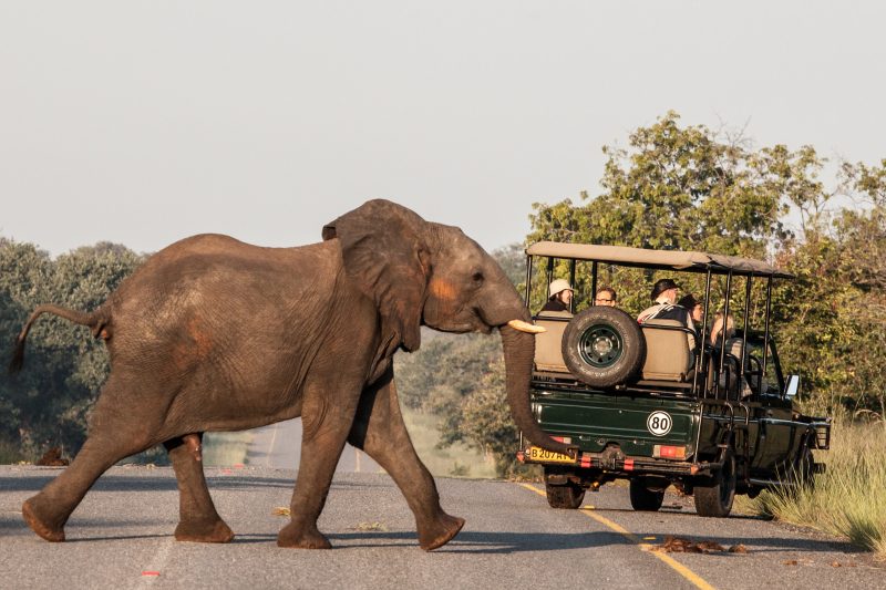Victoria Falls and Chobe Extension Tour