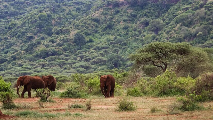 https://www.safariventures.com/wp-content/uploads/30.png