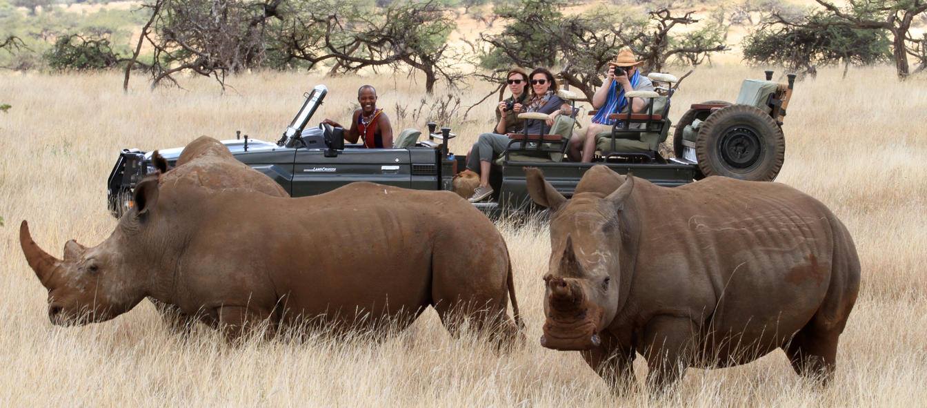 56461011_2484404124911487_2776121247858163712_n https://www.safariventures.com/wp-content/uploads/56461011_2484404124911487_2776121247858163712_n.jpg