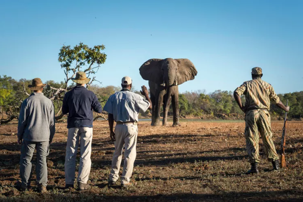 7 https://www.safariventures.com/wp-content/uploads/7-6.png