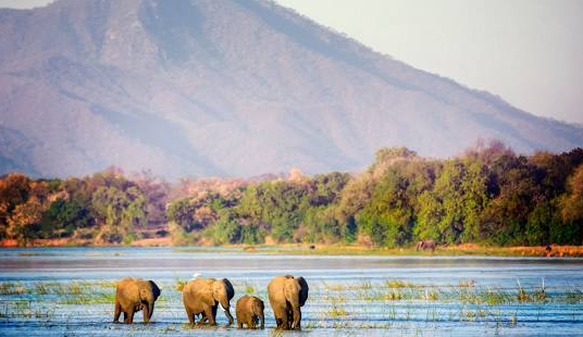 8 https://www.safariventures.com/wp-content/uploads/8-6.png