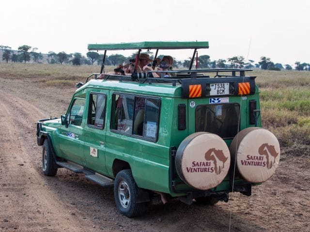 Private vs Group Safari: Which One Is Worth It?