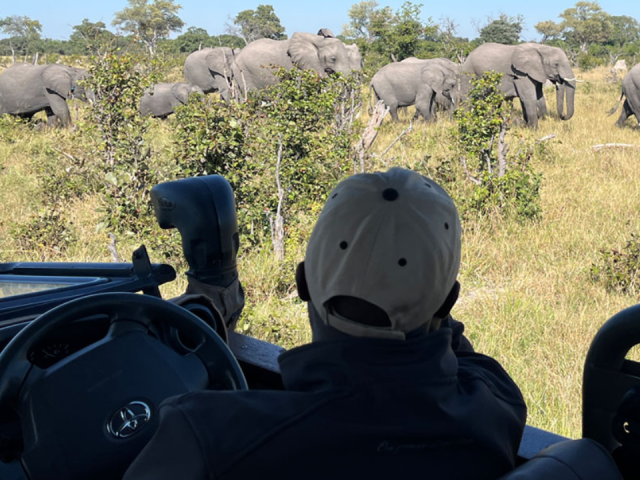 The Complete Photography Guide for Capturing Both Maasai Mara and Serengeti Wildlife