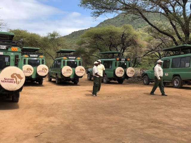 The Only Safari That Lets You Compare Kenya vs Tanzania Wildlife Viewing in One Trip