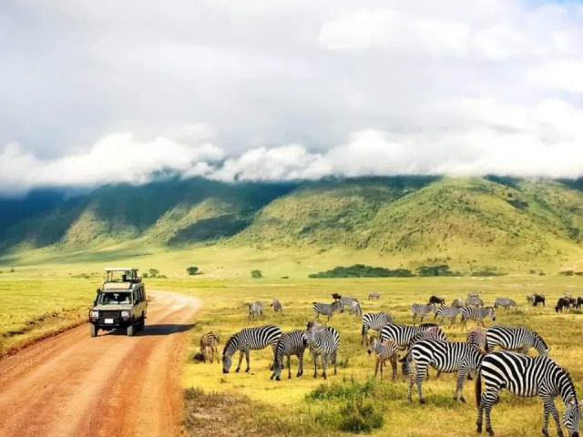 Why This 13-Day Kenya Tanzania Safari Delivers More Wildlife Than Any Single Country Tour
