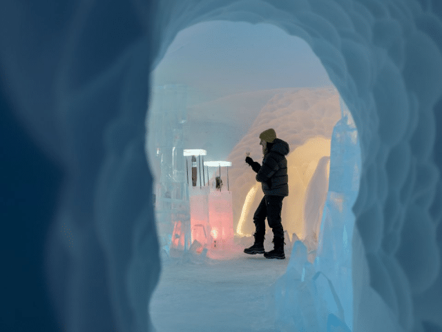 Luxury Safari and Antarctica Tour Photography Tips