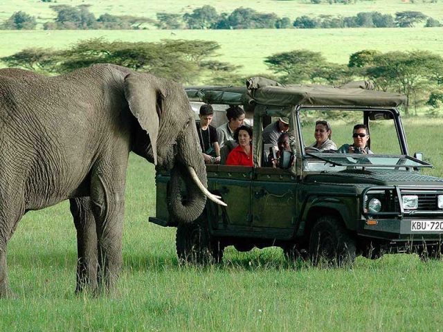 Kenya vs Tanzania Safari: Which One Should You Choose?