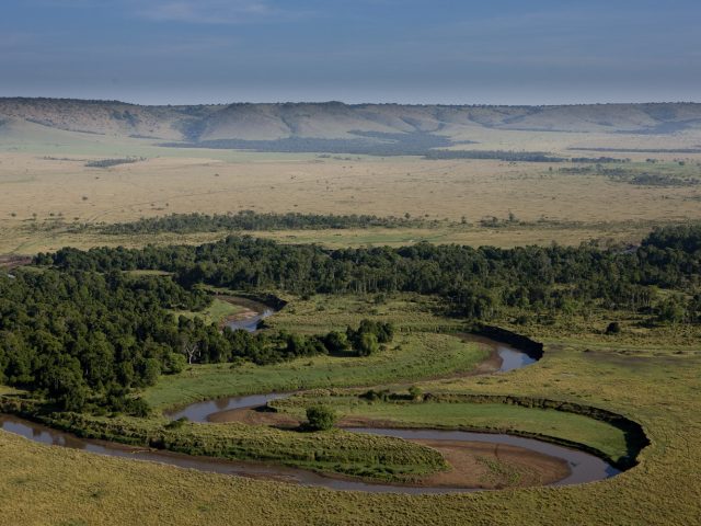 Masai Mara Safari Guide