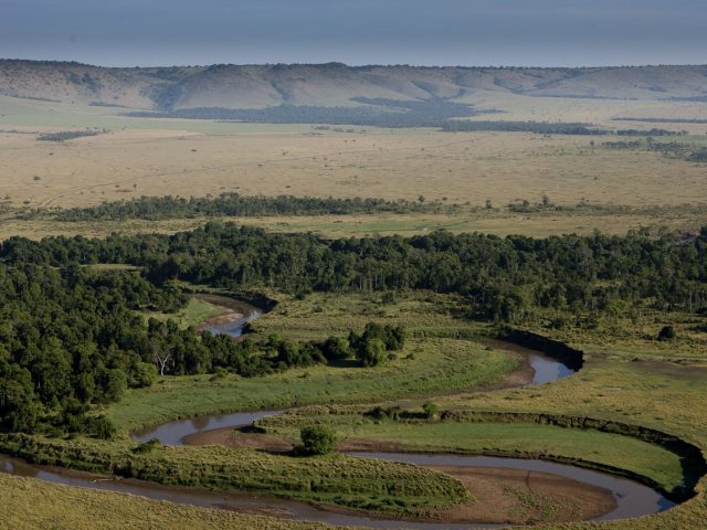 Masai Mara Safari Guide