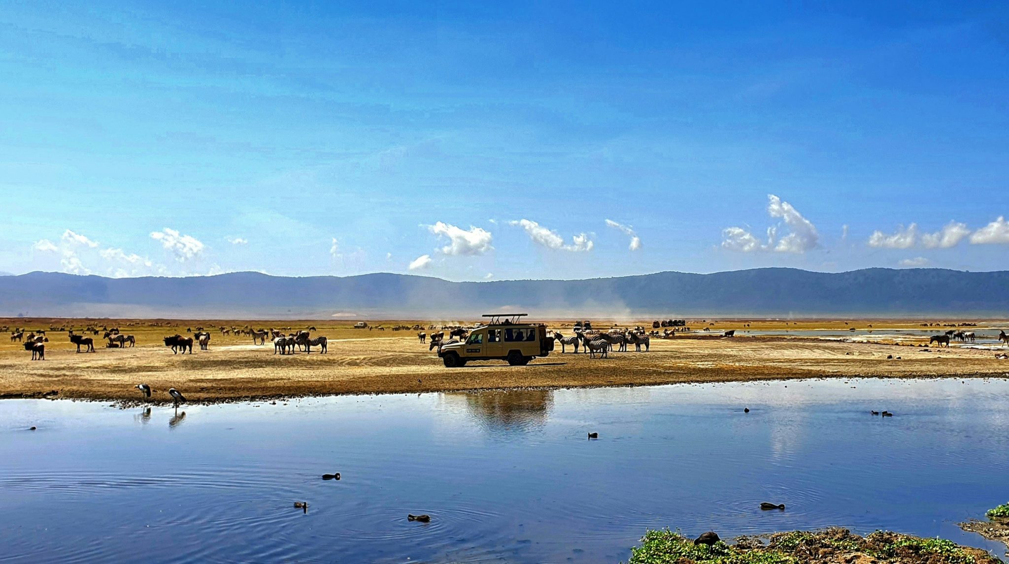 Ngorongoro Crater A safari jeep watches zebra and wildebeest herds near a watering hole inside Ngorongoro Crater, Tanzania, with the volcanic caldera walls visible in the background.