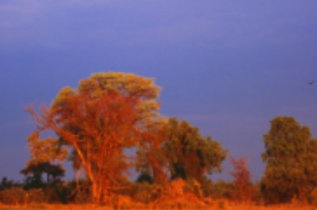 Packing Lists and Climate of East Africa