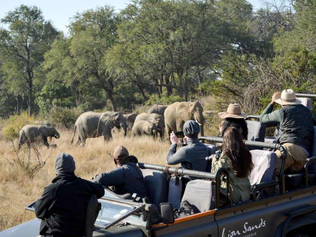 How Long Should a Safari Be? 5 vs 7 vs 10 Days