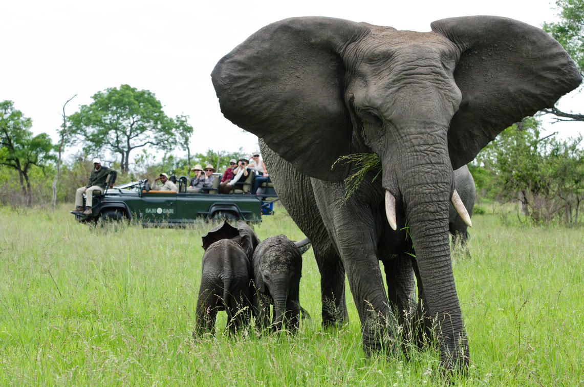 Elephants Family watching a herd of elephants from a safari vehicle during a family safari in Africa