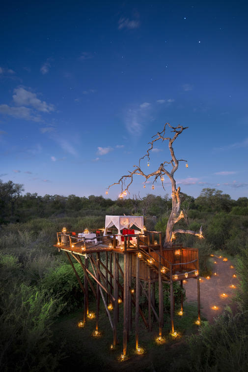 Safari Ventures https://www.safariventures.com/wp-content/uploads/k201.jpg