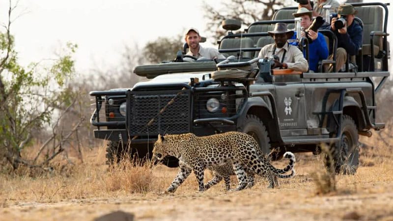 Kenya Safari Tour