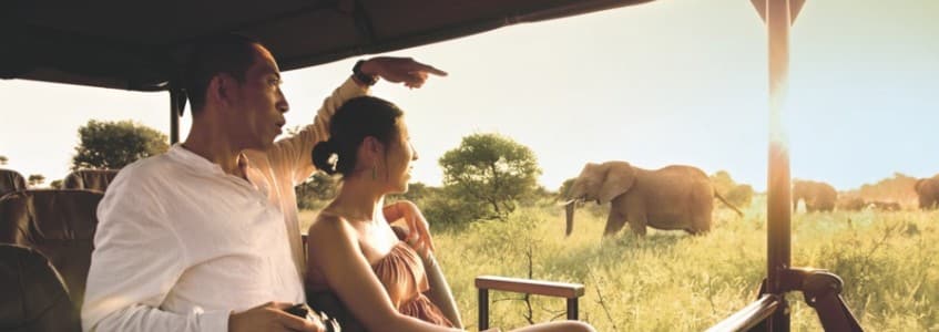 s4 https://www.safariventures.com/wp-content/uploads/s4-1.jpg