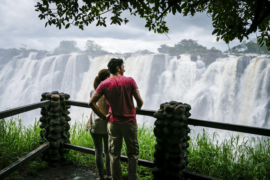 v6 https://www.safariventures.com/wp-content/uploads/v6.jpg